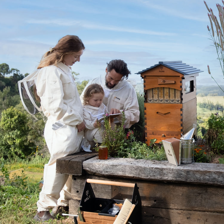 Deluxe Black Friday Bundle