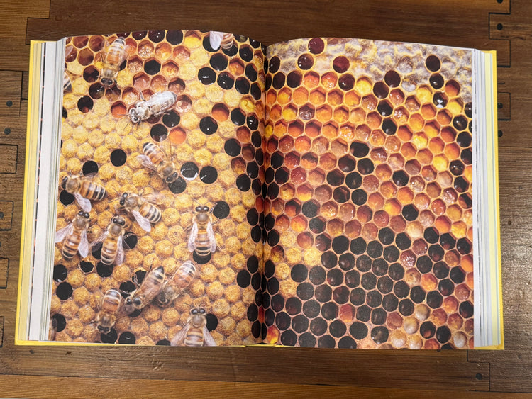 Flow Hive's Book of Bees and Beekeeping
