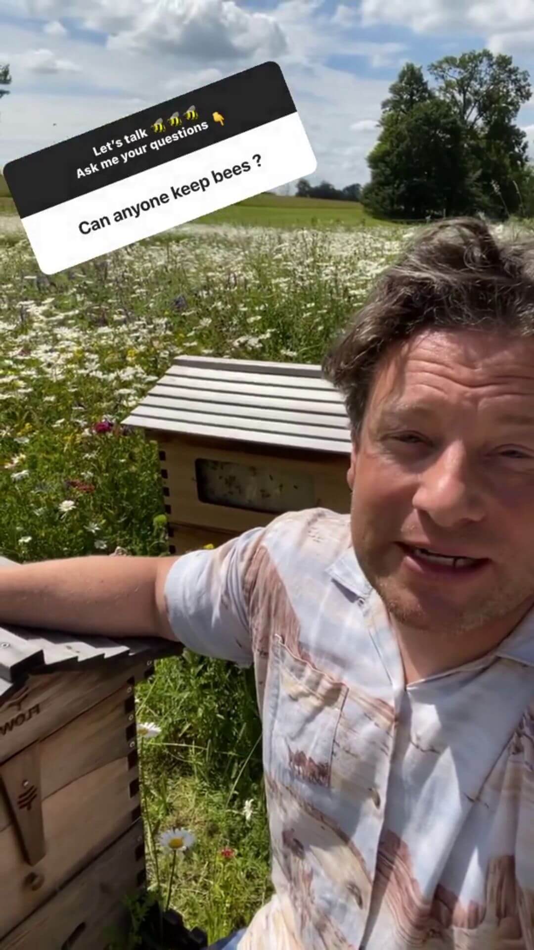 Can anyone keep bees?