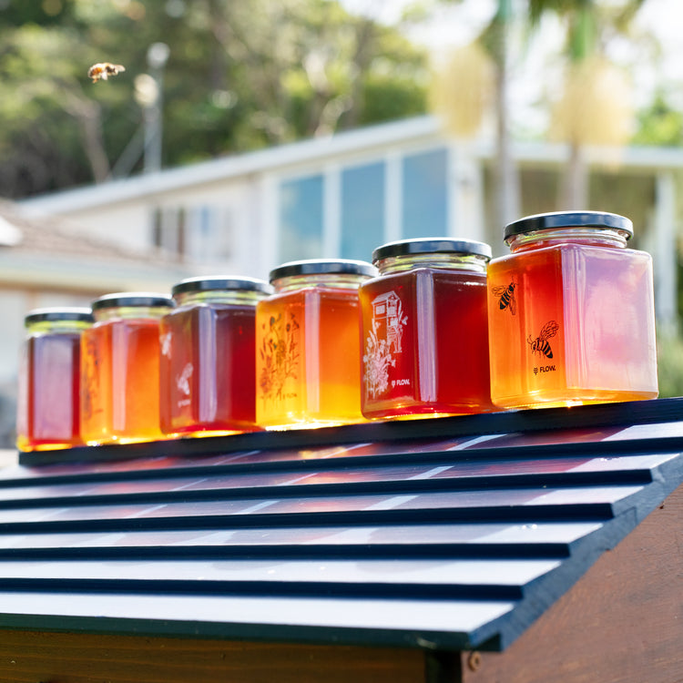 Flow Honey Jar Gift Set