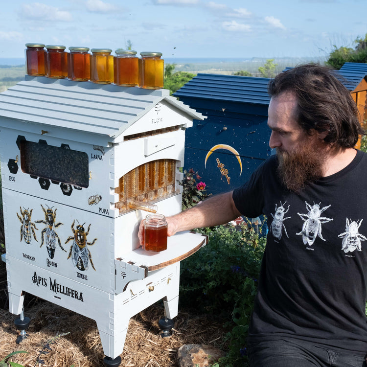 Holiday Season Bundle