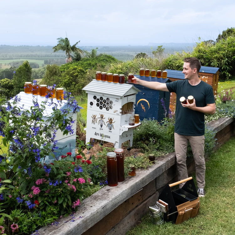 Deluxe Holiday Season Bundle