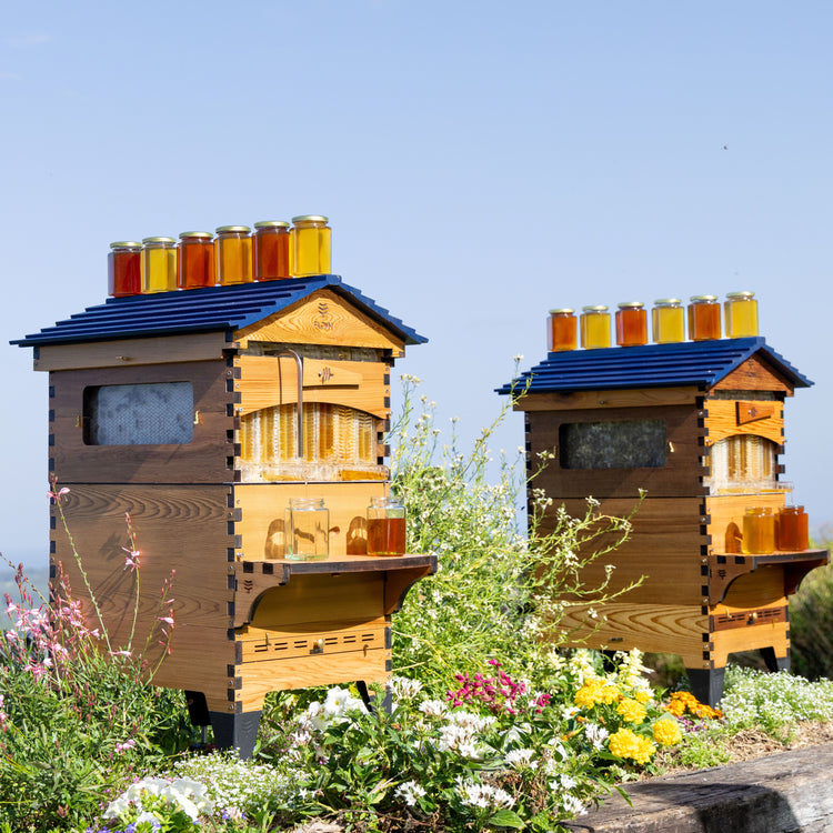 Birthday Beekeeper Bundle