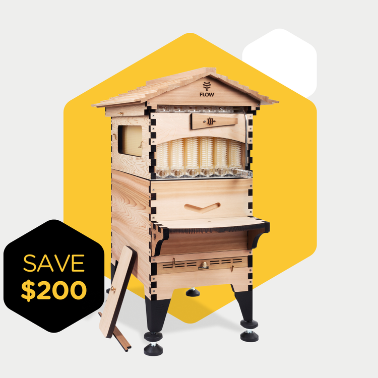 Flow Hive 2+ Scratch & Dent