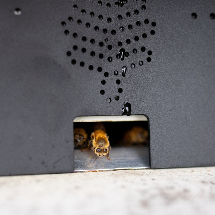 Flow All Weather Upgrade Kit