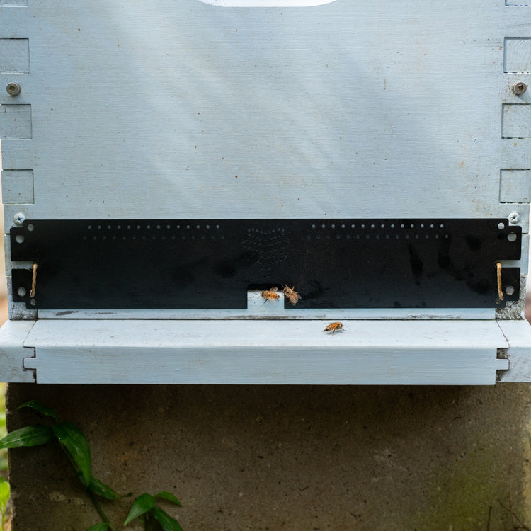 Flow Entrance Reducer