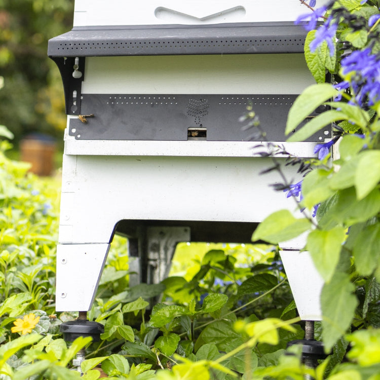 Flow Entrance Reducer