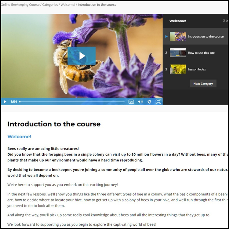 Online beekeeping course - 12-month gift subscription