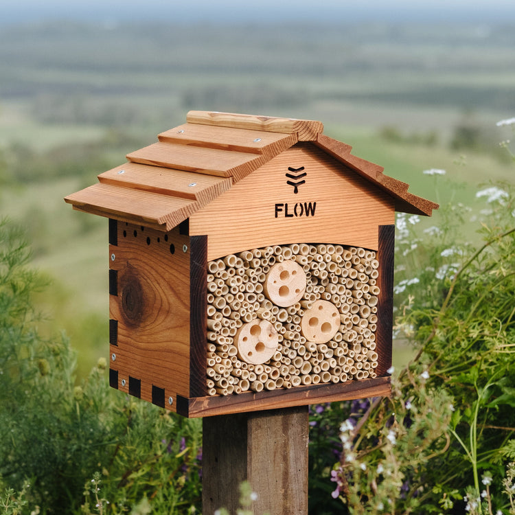 Flow Pollinator House