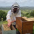 How do I move my bees to a new hive?