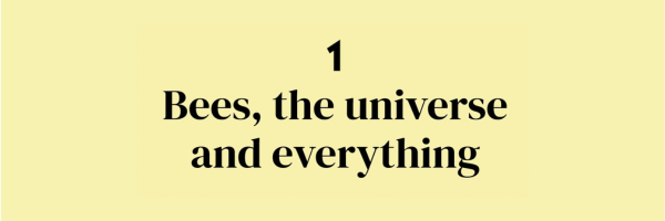 1 - Bees, the universe and everything