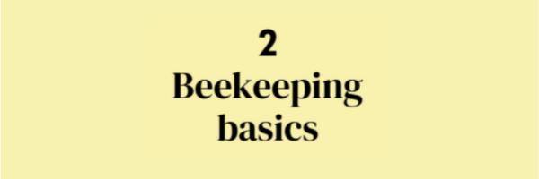 2 - Beekeeping basics