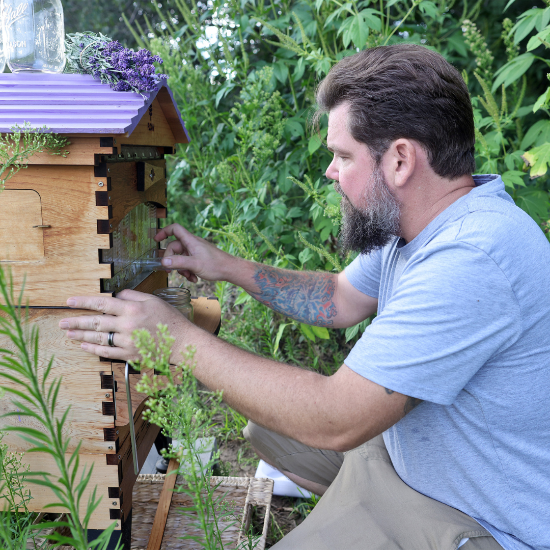 Paint it purple: the symbiotic relationship between a lavender farm and 40,000 bees