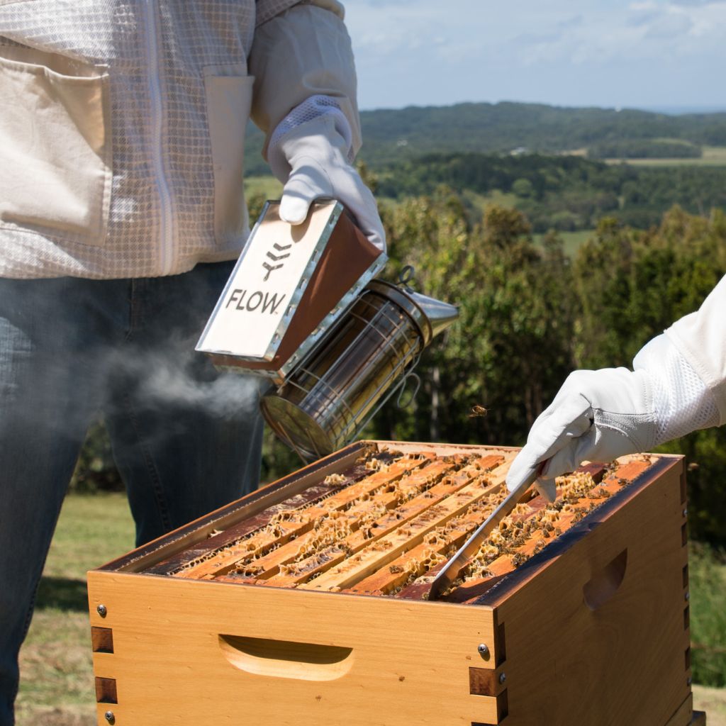How beekeepers around the world manage varroa