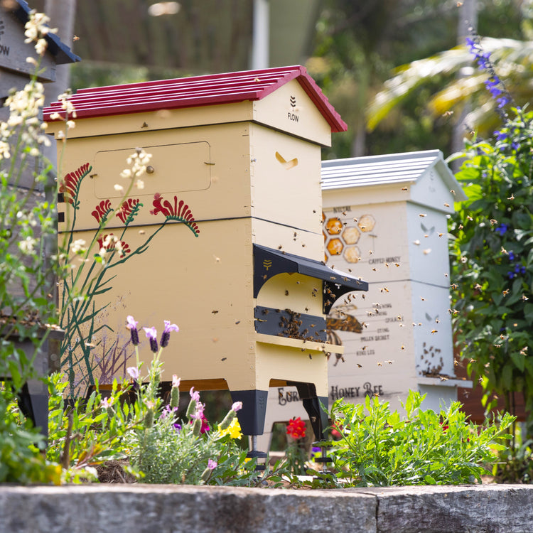 Deluxe Beekeeper Bundle