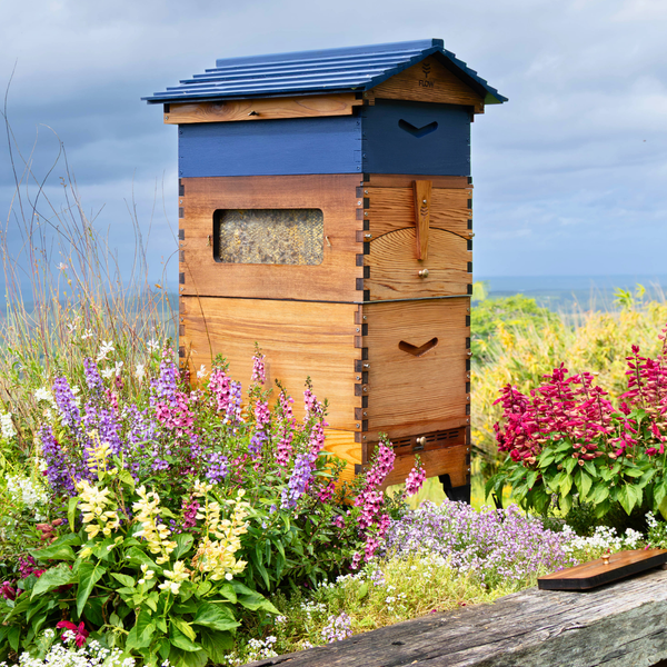 Flow Ideal Super | Shallow Super for Harvesting Comb - Flow Hive AU