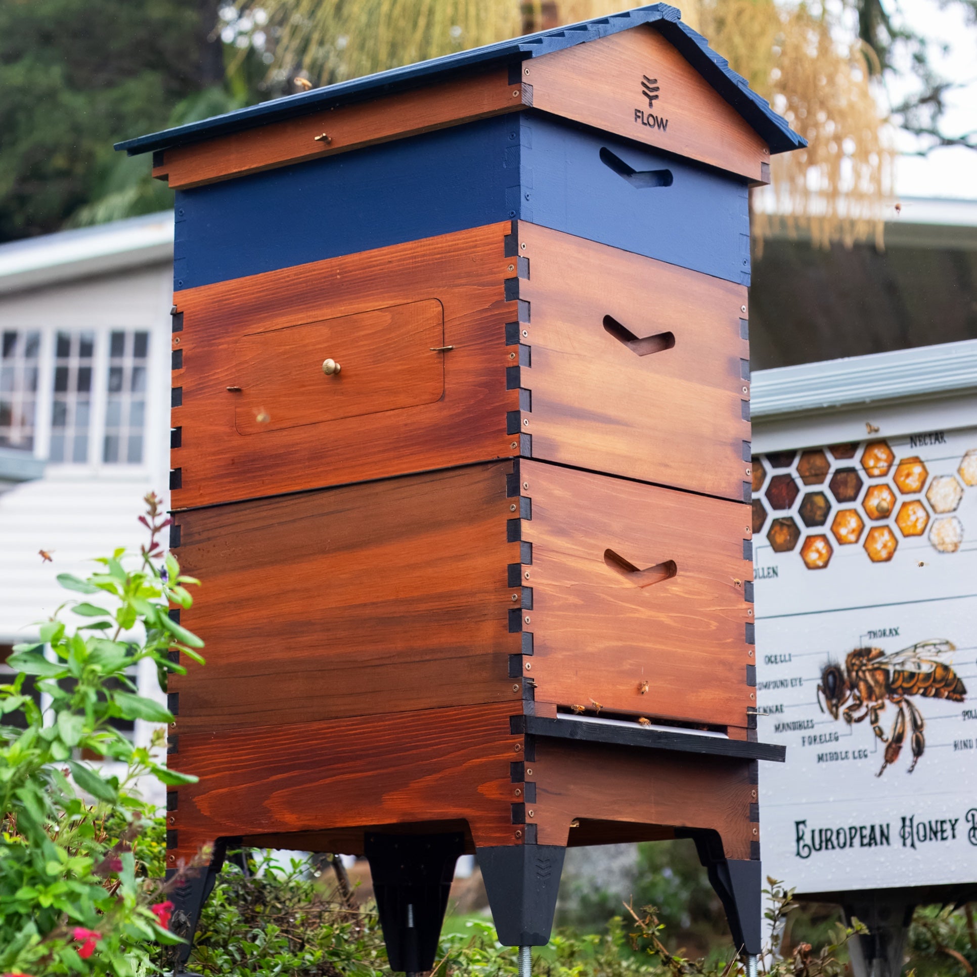 Flow Supers and Brood Boxes - Flow Hive AU