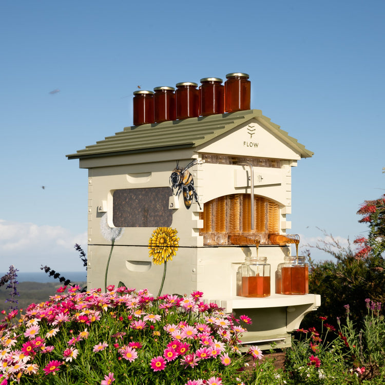 Beekeeper Bundle