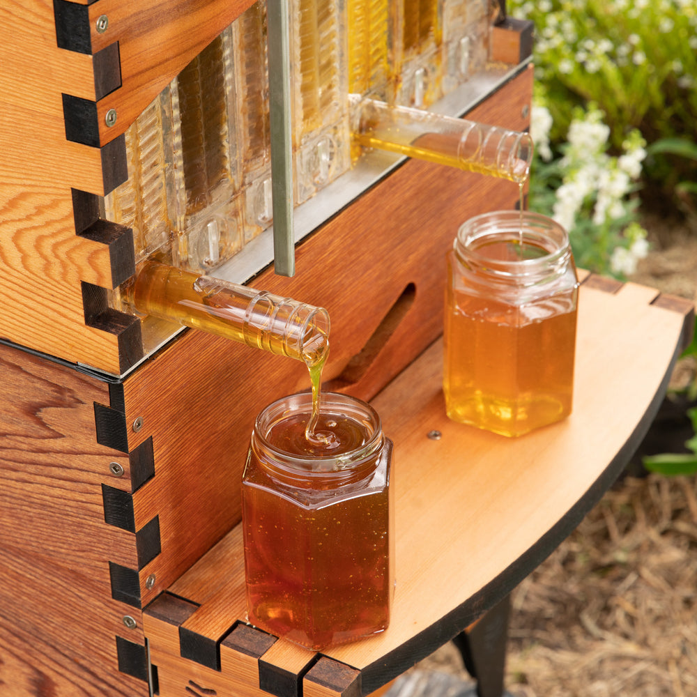 Hive Express Beehive Starter Kit for Australia | Deluxe Starter Bundle - Flow Hive AU