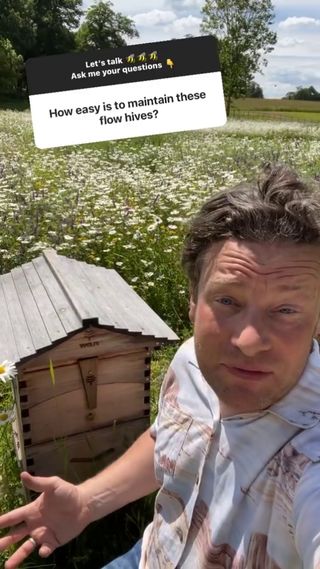Starting with a Flow Hive