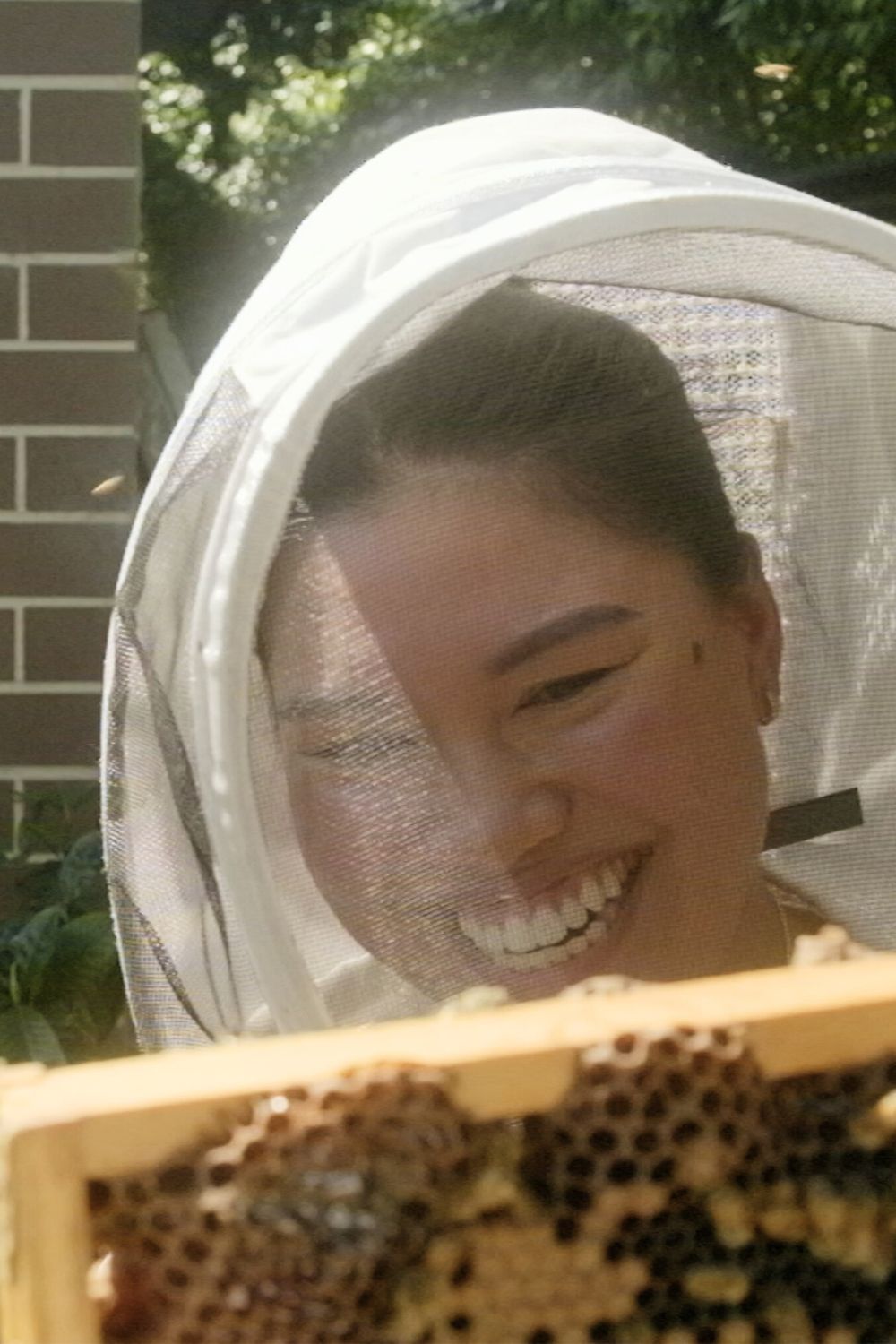 Janabel, Gaudy and Lumiere