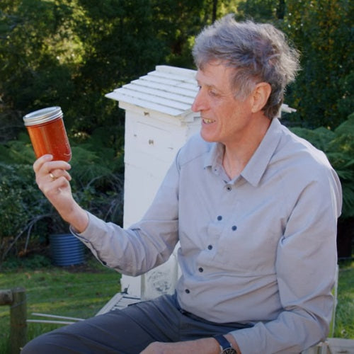 Why would you want to put bees in space?