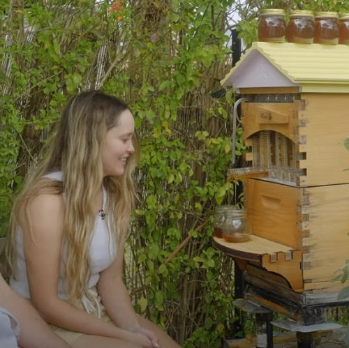 You can't be stressed around bees