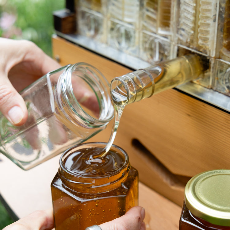 Deluxe Black Friday Bundle