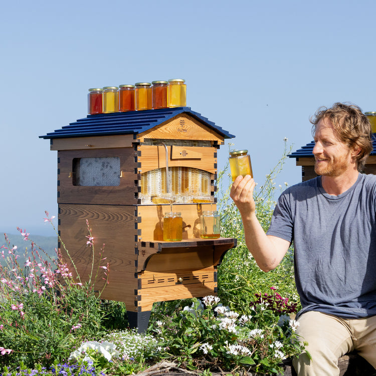 Deluxe Black Friday Bundle