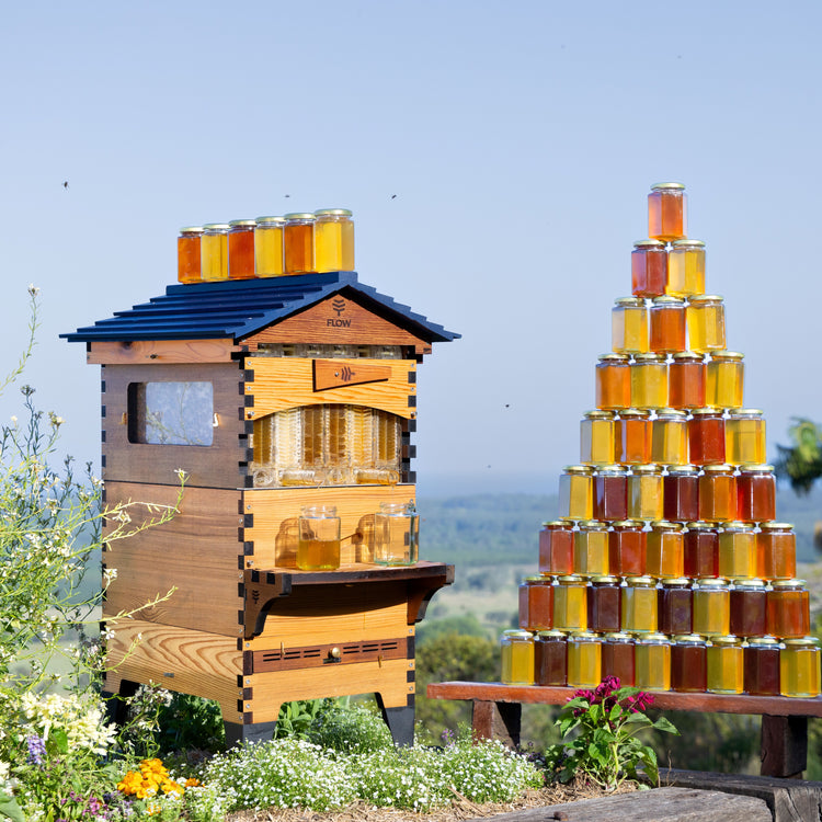 Deluxe Black Friday Bundle