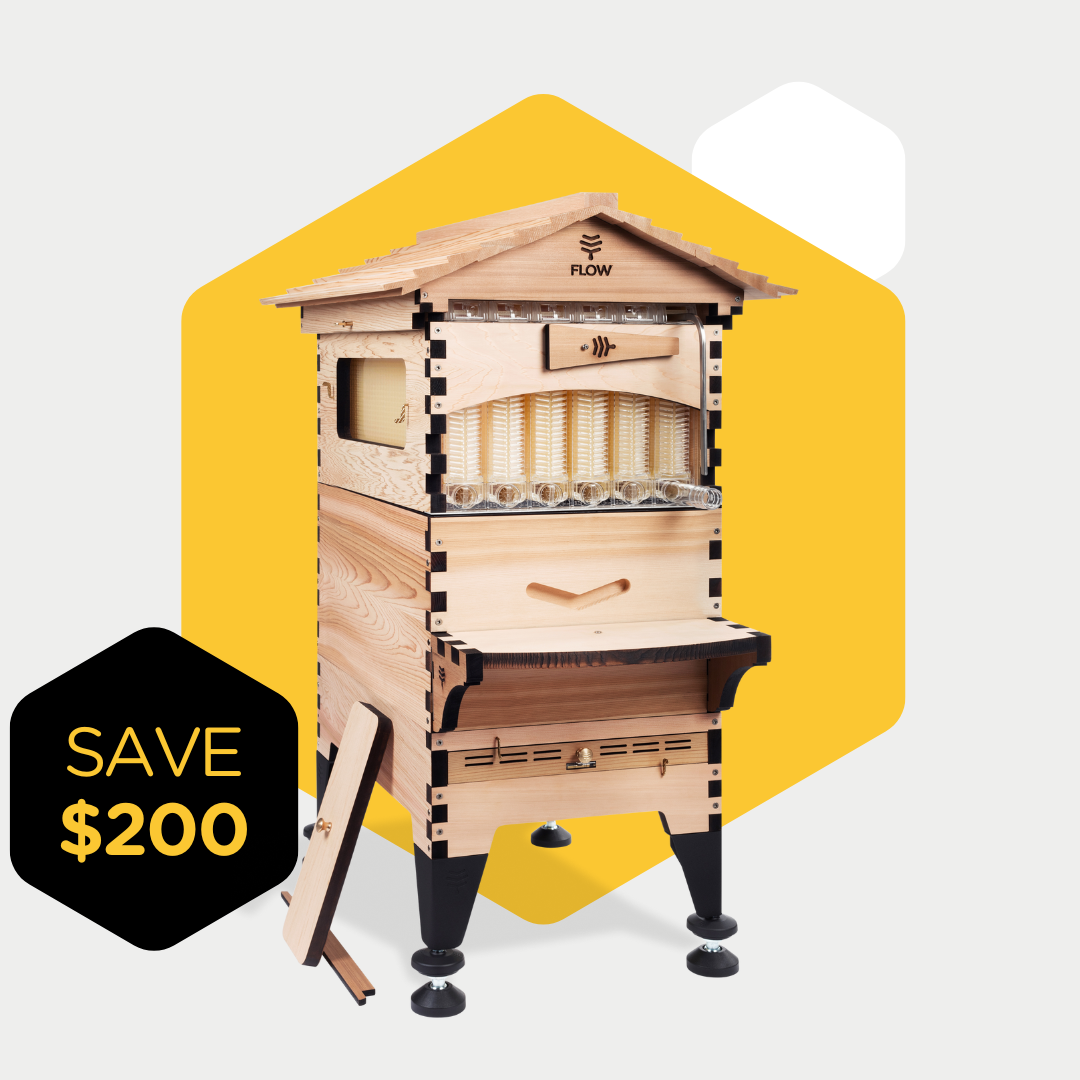 Flow Hive 2+ Scratch & Dent