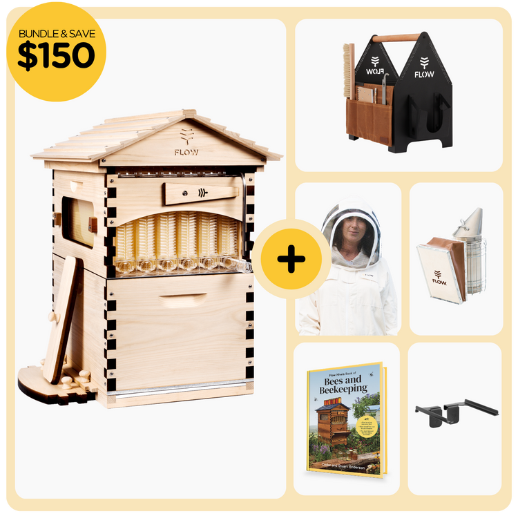 Deluxe Starter Bundle