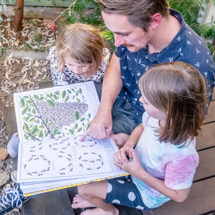 Junior Pollinator Power Pack