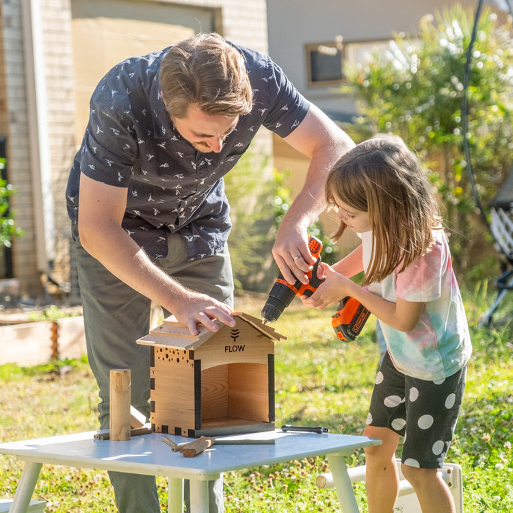 Junior Pollinator Power Pack