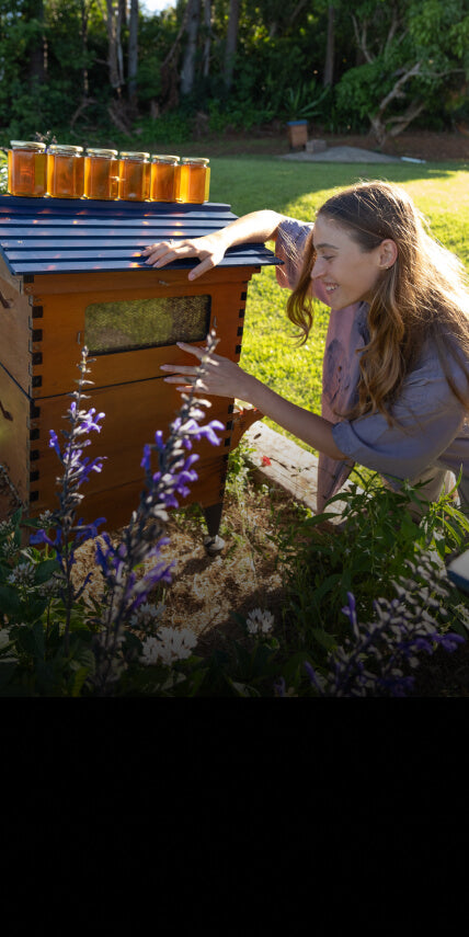 Spring Guide for Experienced Beekeepers - Flow Hive AU