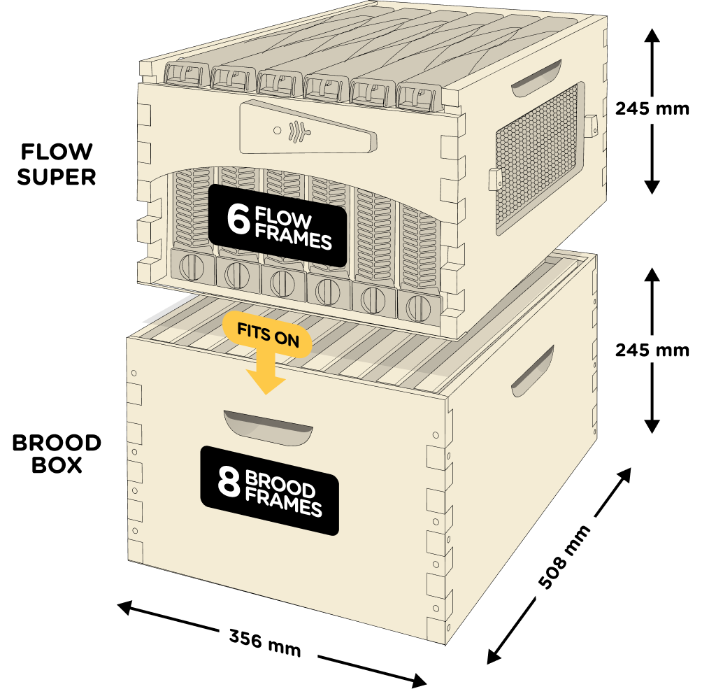 Flow Hive 6 Frame