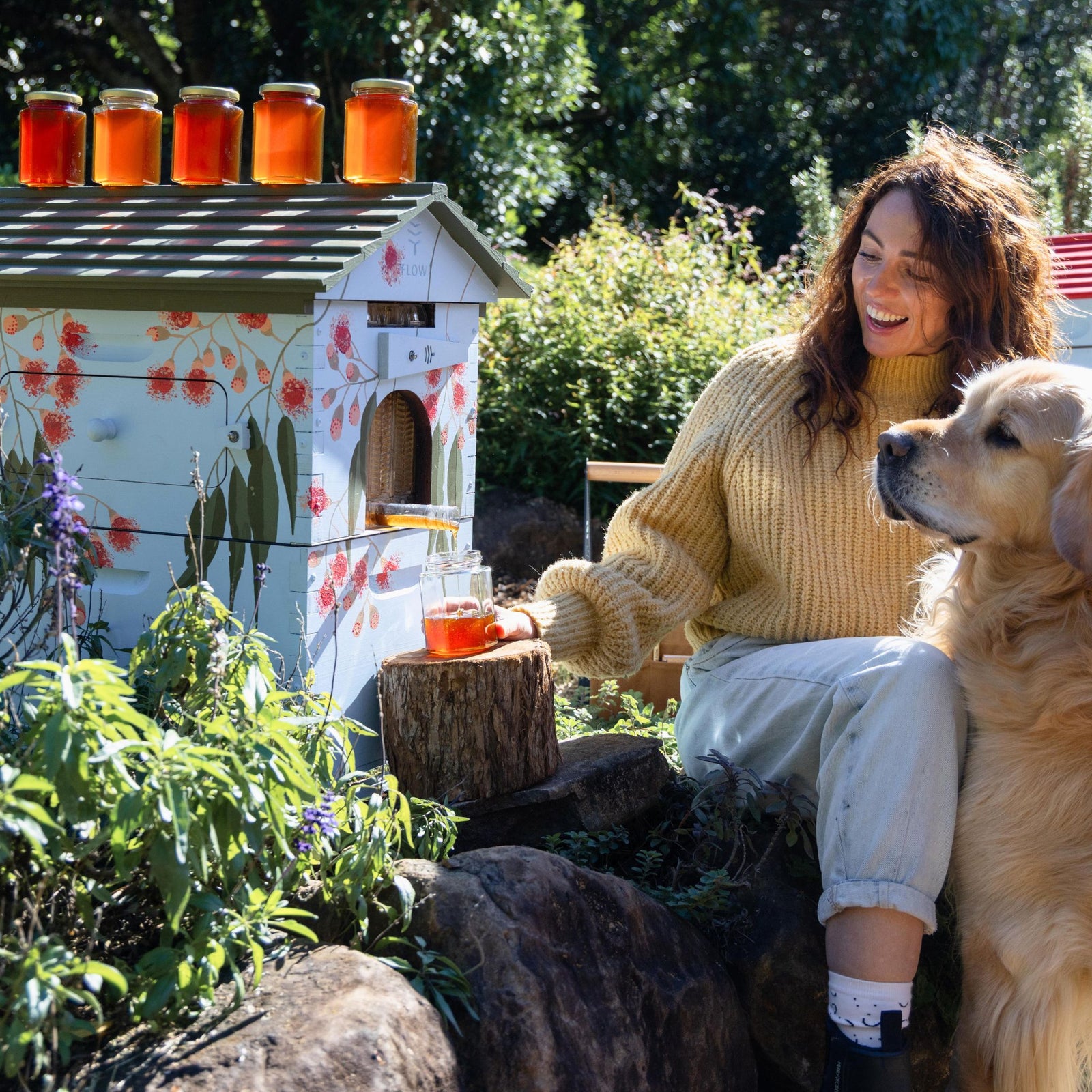 Pure honey straight into your jar