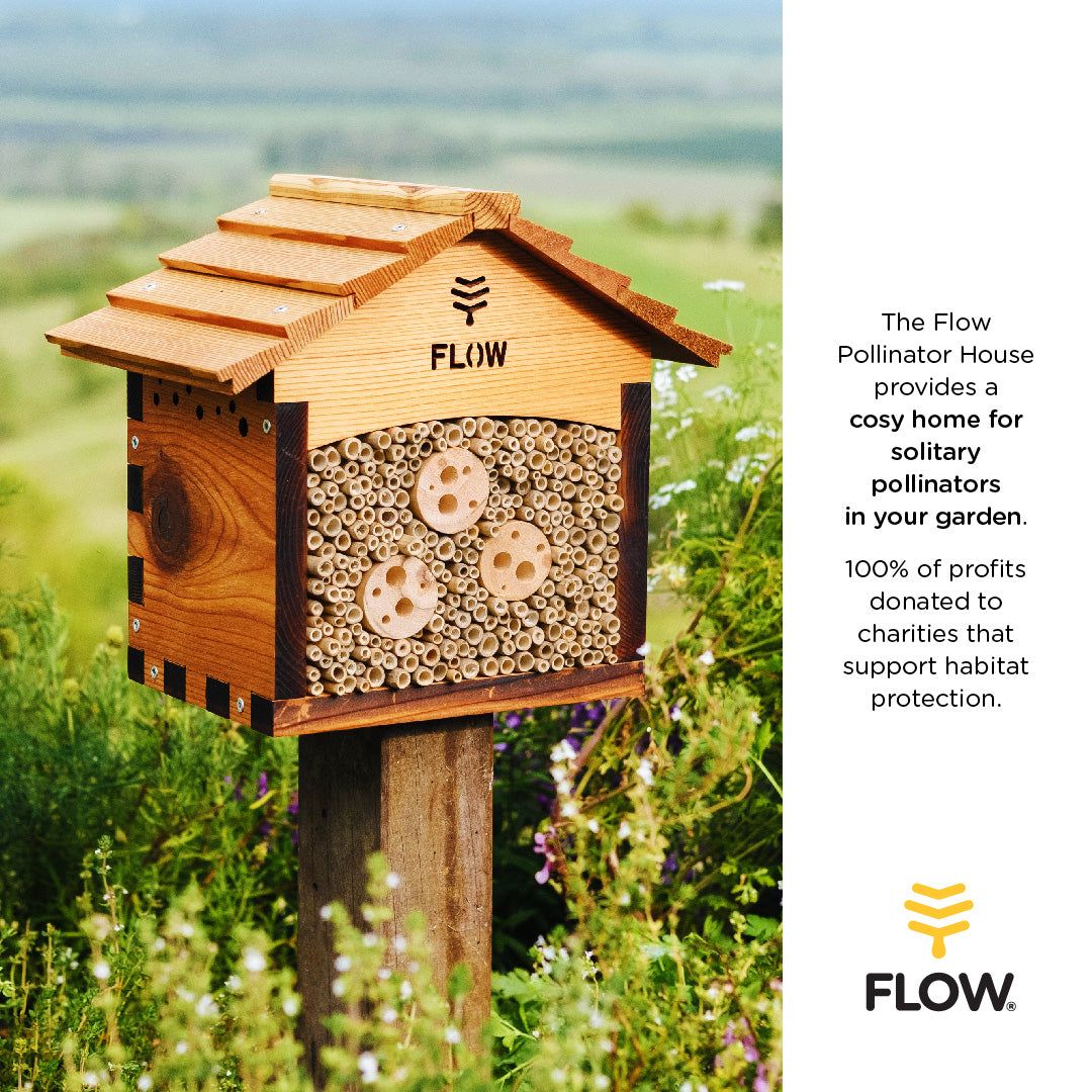 Flow Pollinator House