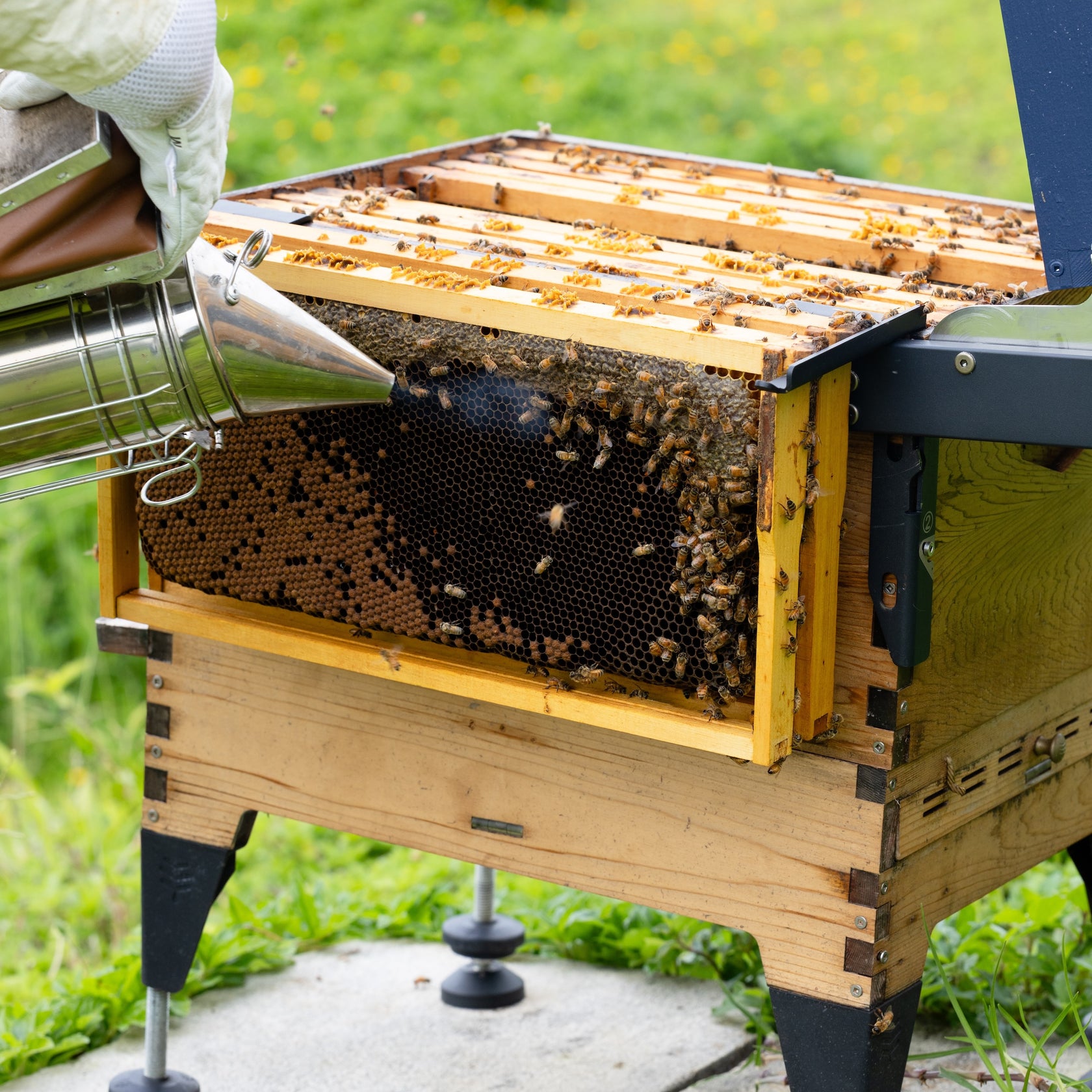 Flow Inspection Frame Rests | Hive Inspection Accessory - Flow Hive AU