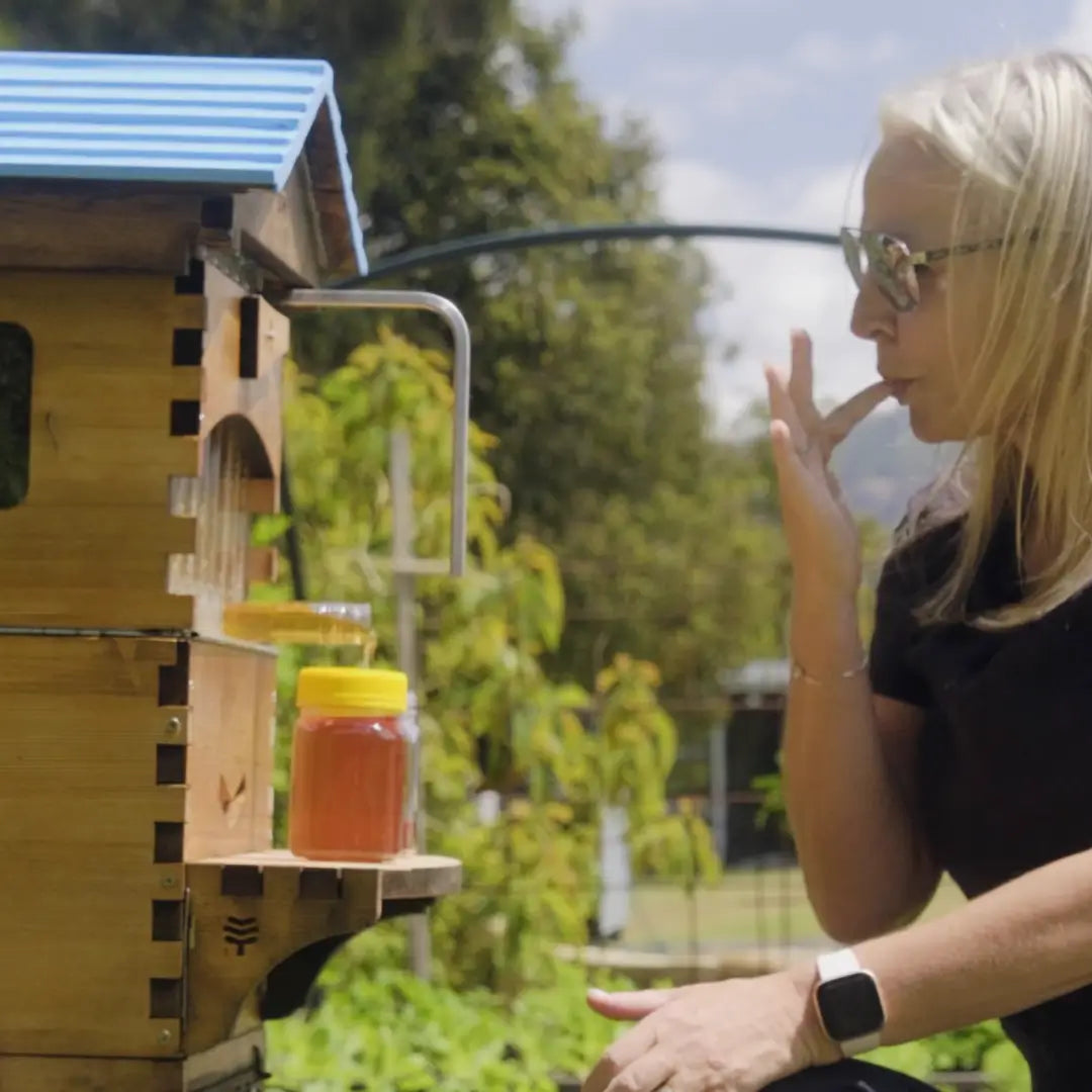 Flow Hive honey in gold coast