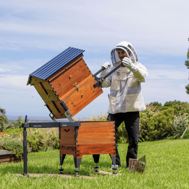 Ultimate Starter Bundle