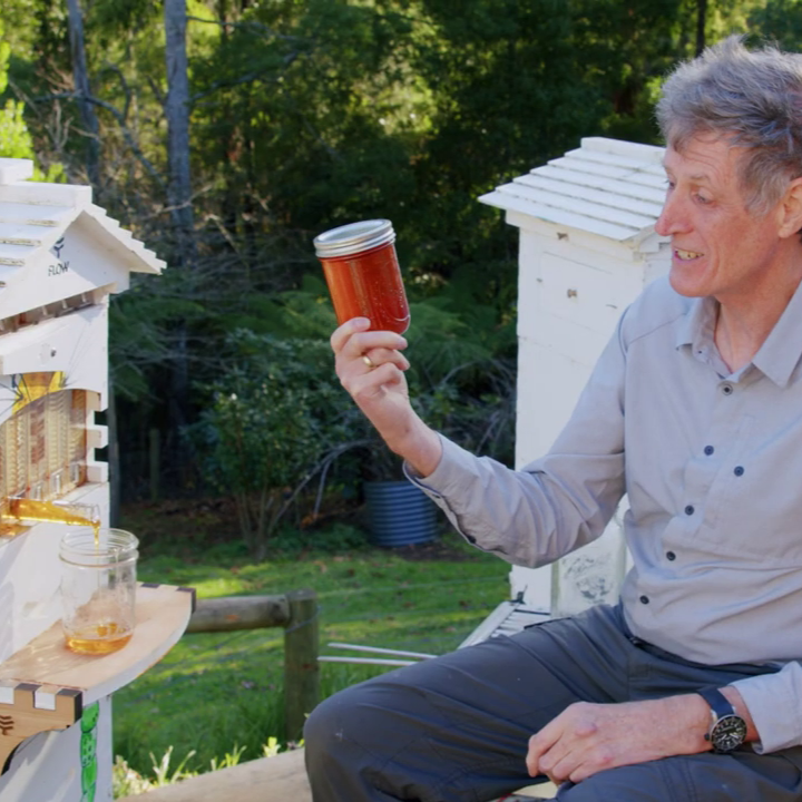 Why would you put bees in space?