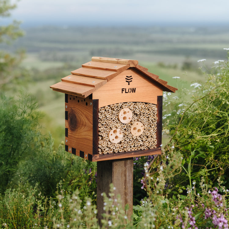 Flow Pollinator House