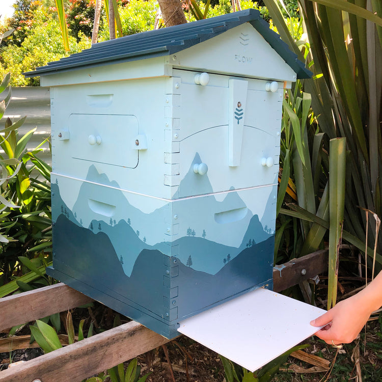 Spare Plastic Corflute ARA AU 6