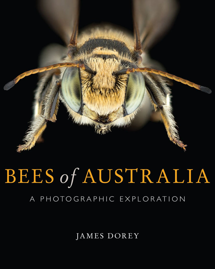 Bees of Australia: A Photographic Exploration