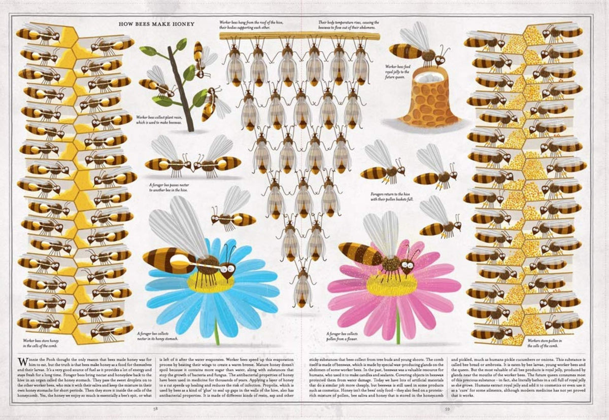 The Book of Bees - Flow Hive AU