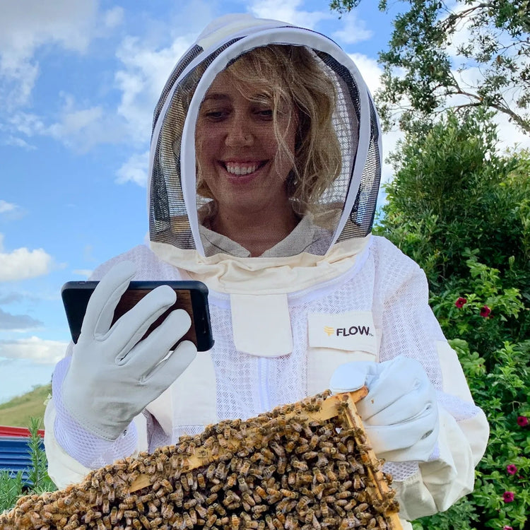 Online beekeeping course - monthly subscription